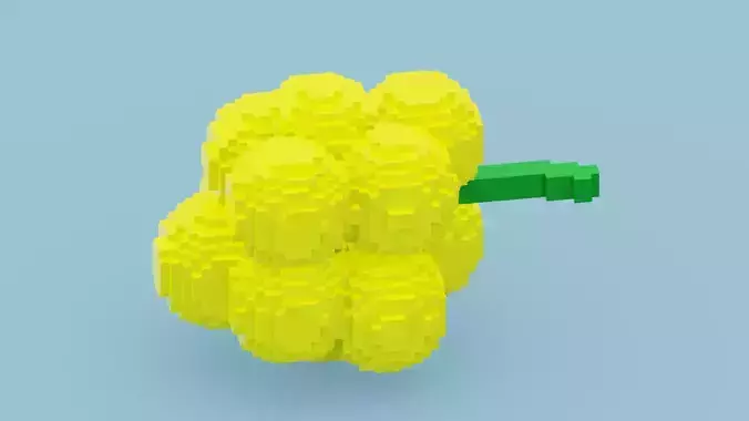 Yellow Grape