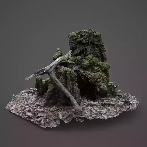 Cut Trunk-01 Low-poly 3D model
