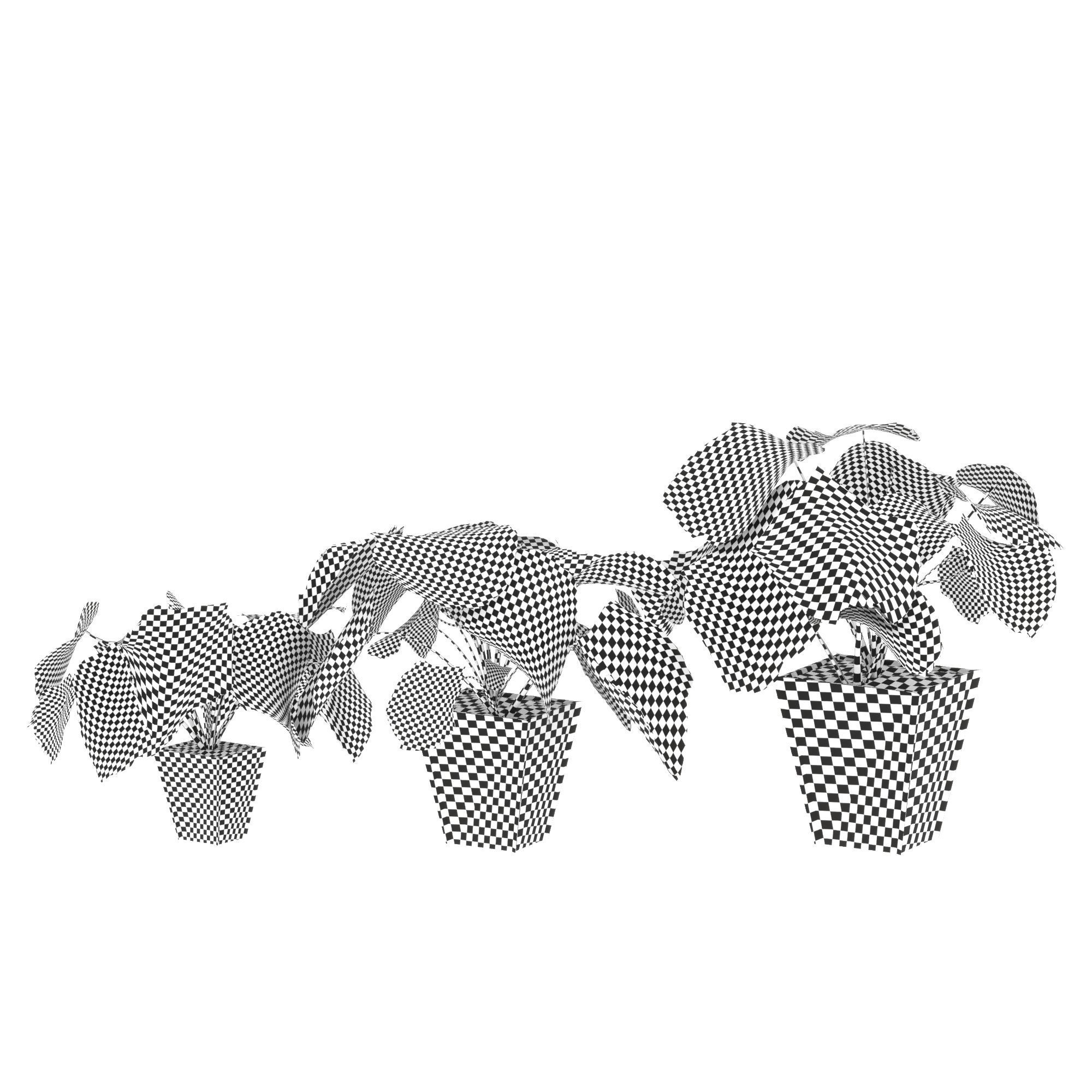 3D plant set Monstera deliciosa or the Swiss cheese plant 3D model_5