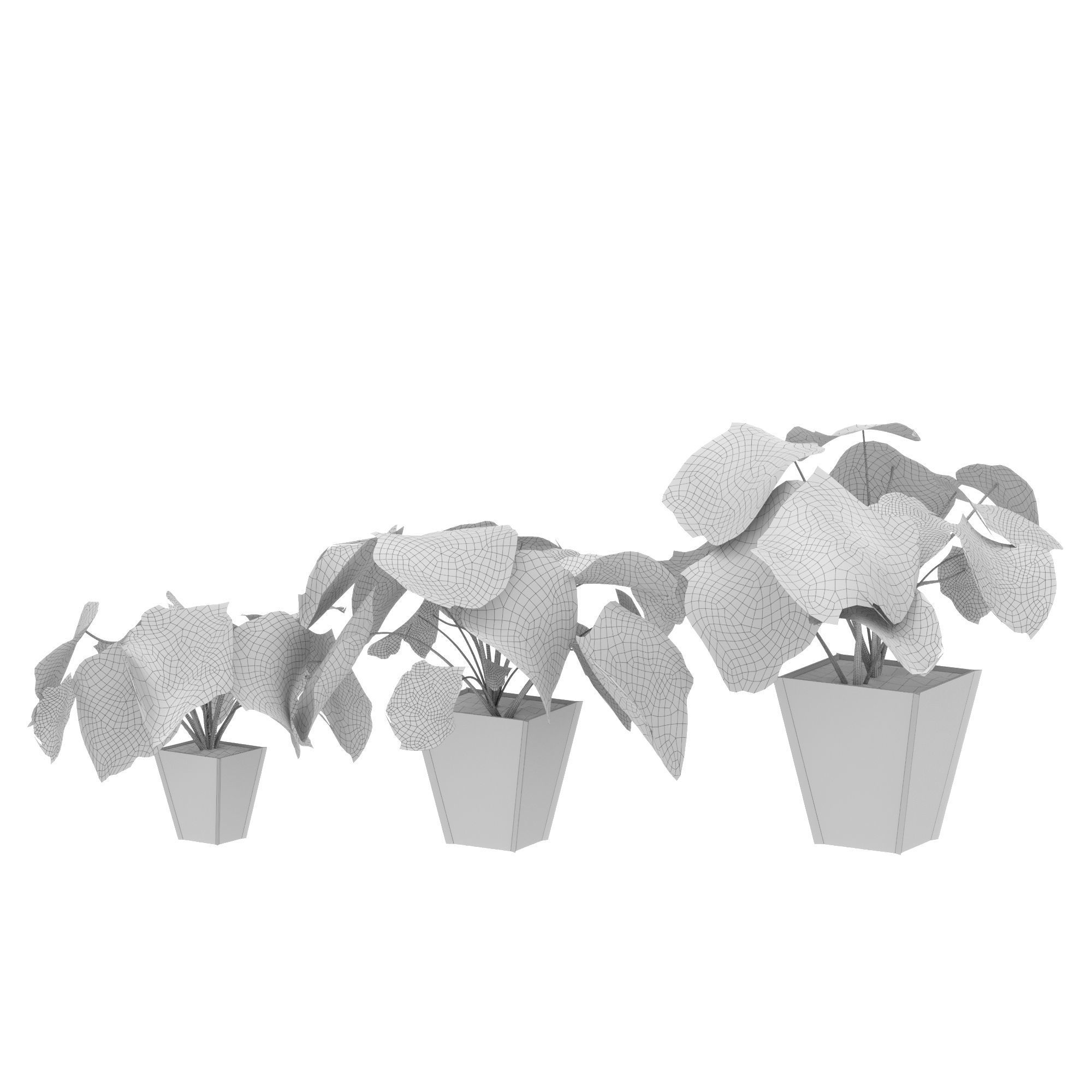 3D plant set Monstera deliciosa or the Swiss cheese plant 3D model_6