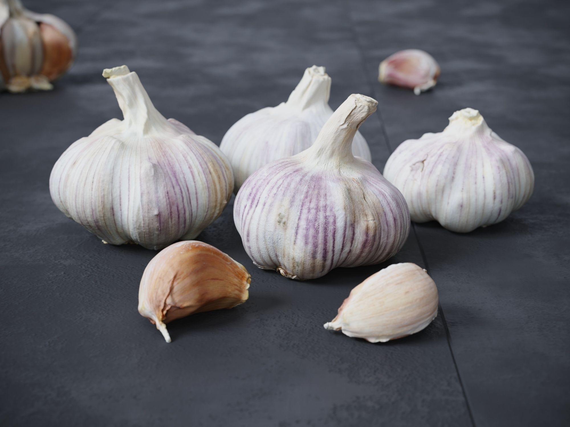 Garlic  3D model_2