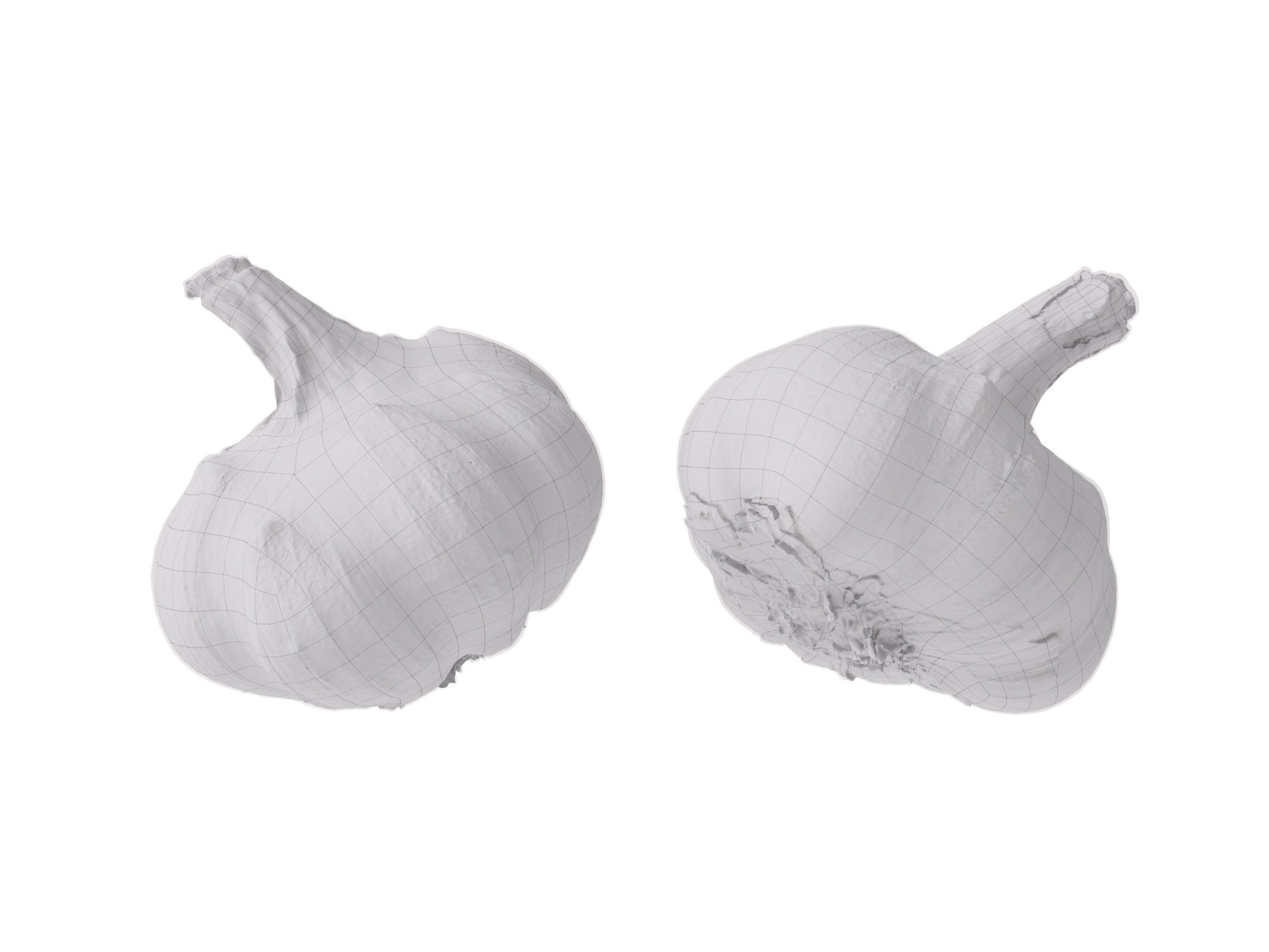 Garlic  3D model_11