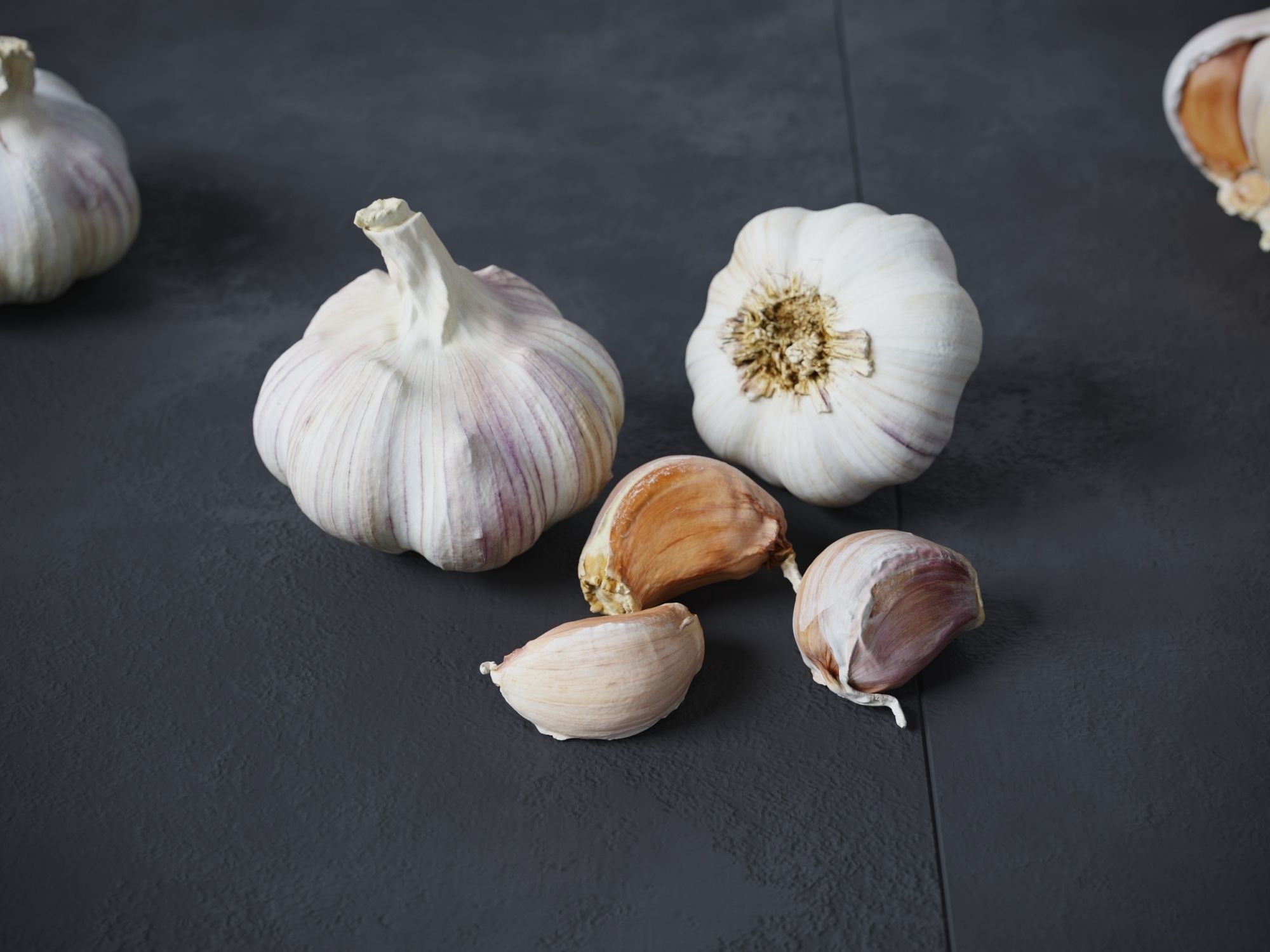 Garlic  3D model_1