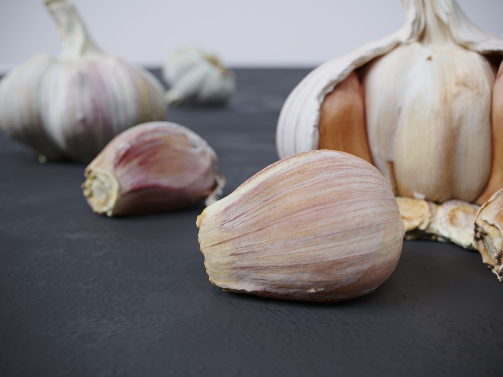 Garlic  3D model_3