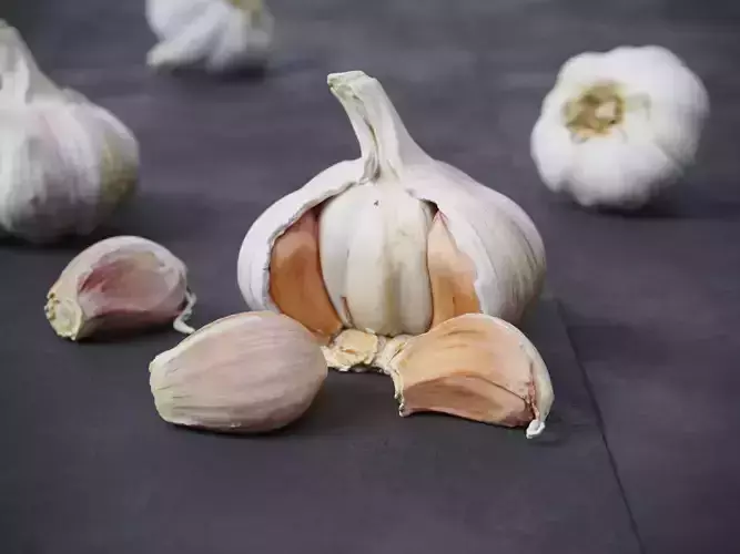 Garlic 
