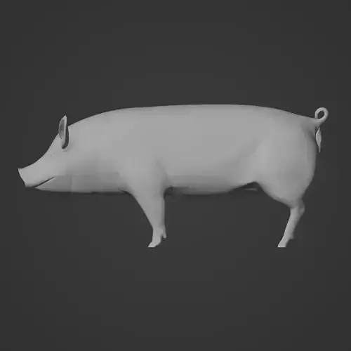 Realistic Piggy Bank