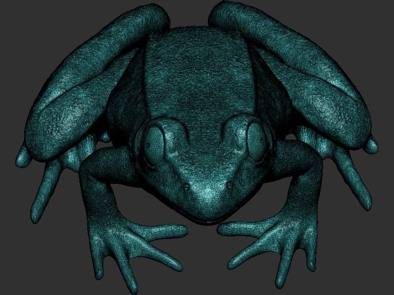 Frog model 3D print model_17