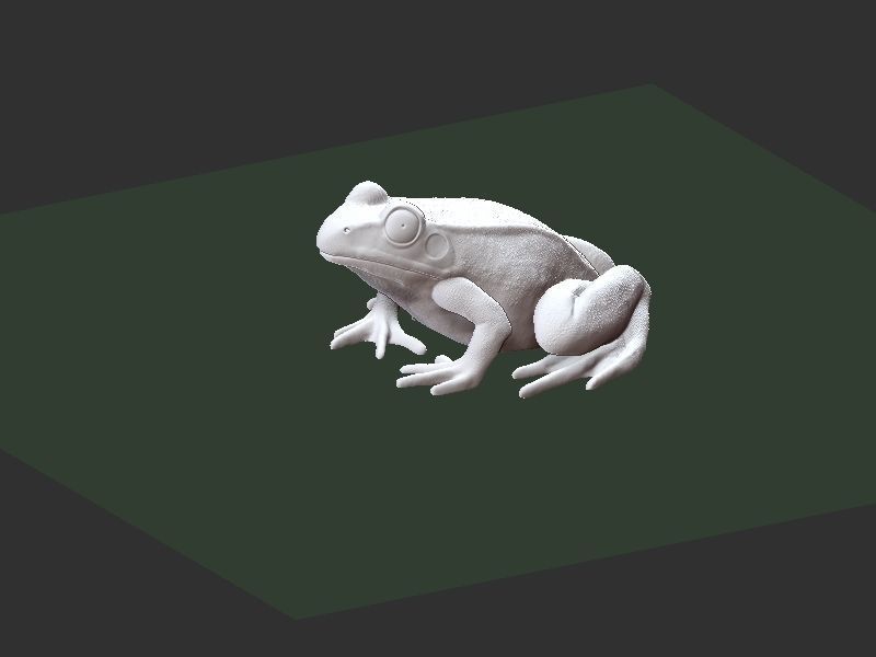 Frog model 3D print model_19