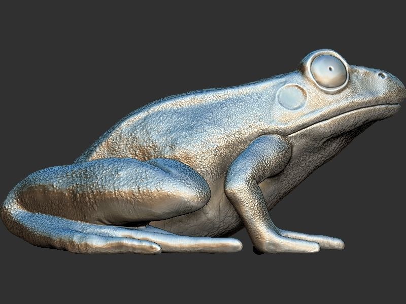 Frog model 3D print model_5