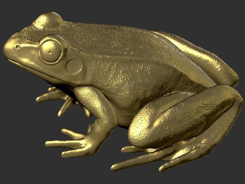 Frog model 3D print model_14