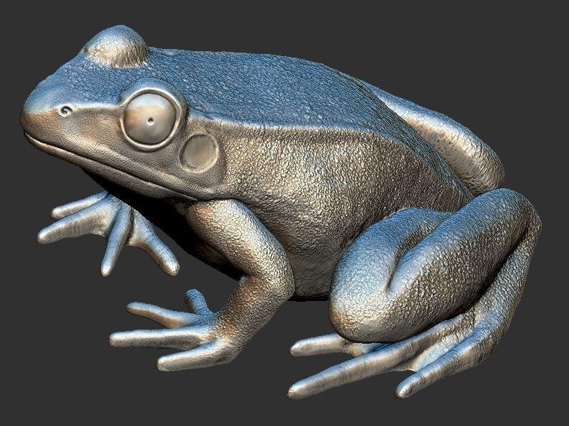 Frog model 3D print model_1