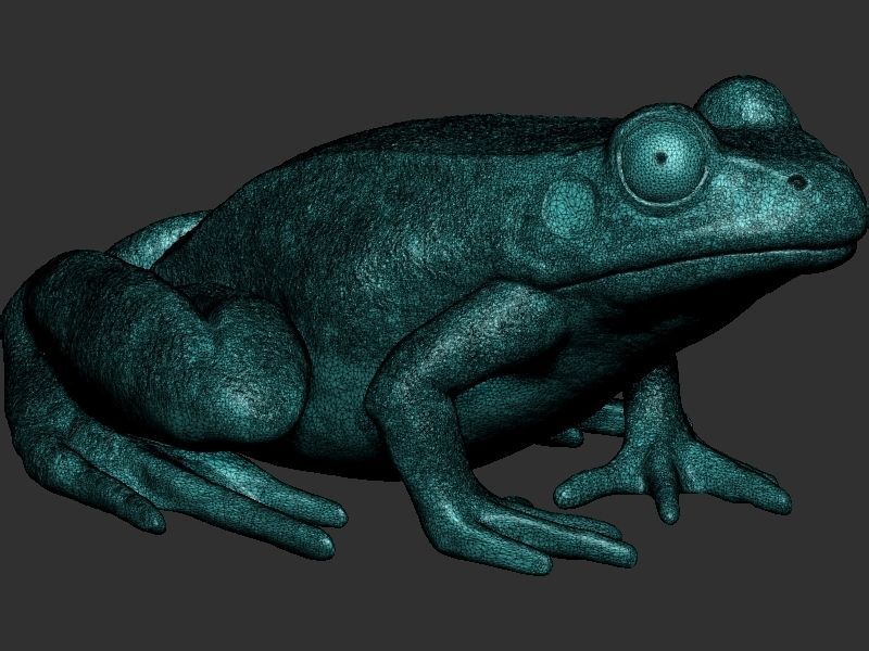 Frog model 3D print model_15