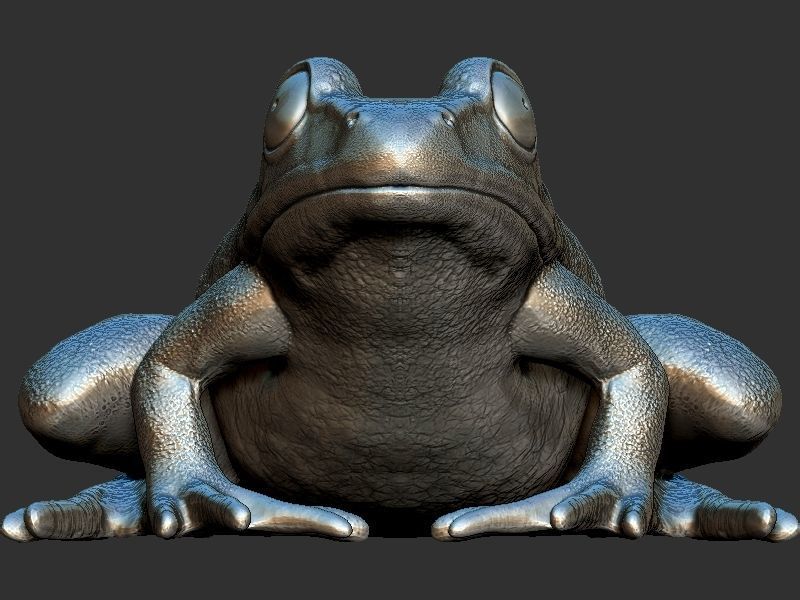 Frog model 3D print model_4