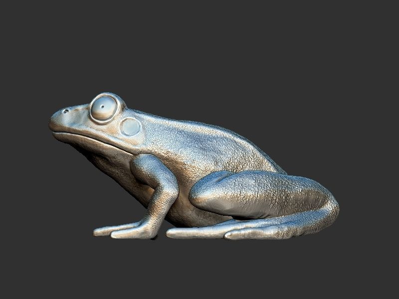 Frog model 3D print model_3