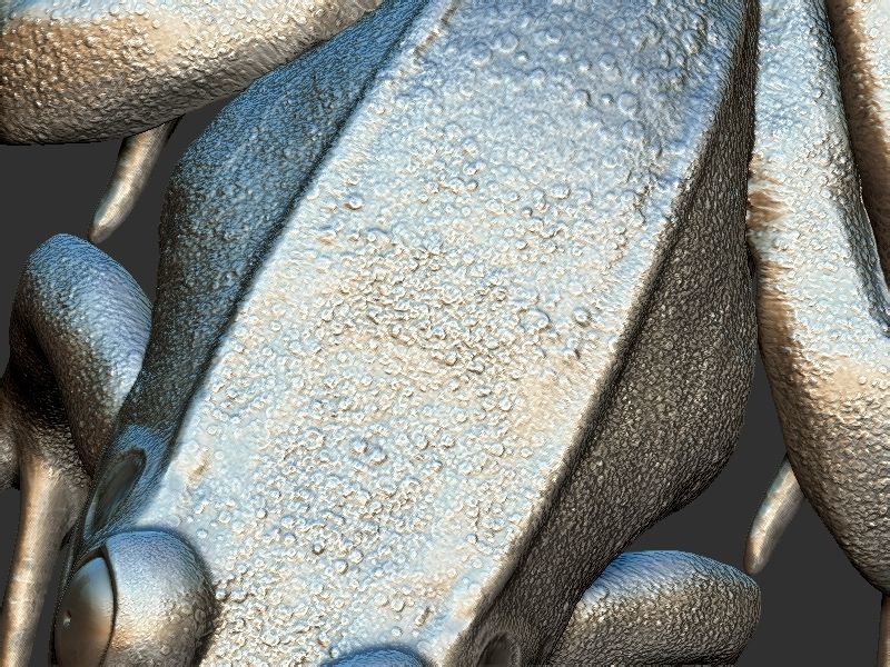 Frog model 3D print model_9