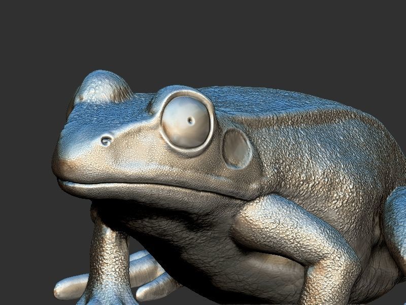Frog model 3D print model_6
