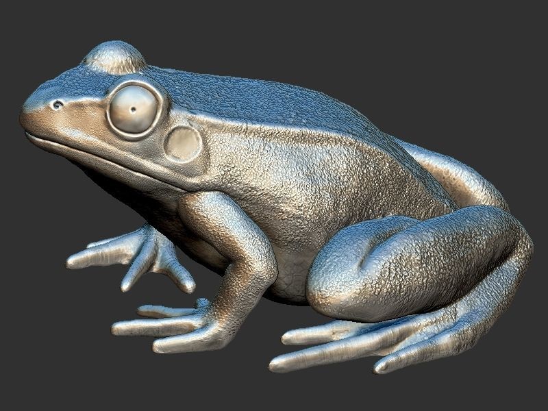 Frog model 3D print model_2