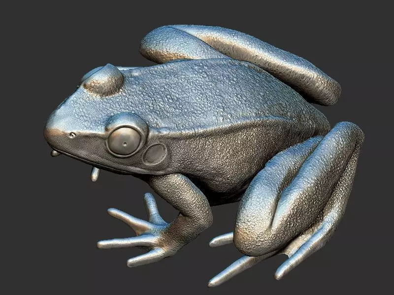 Frog model 3D print model_0