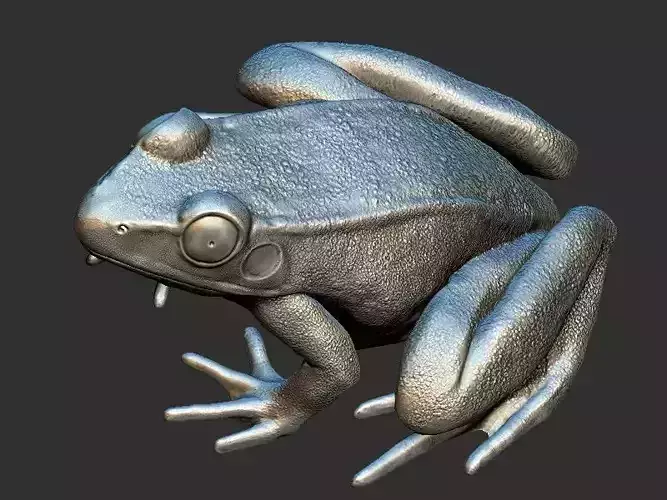 Frog model 3D print model