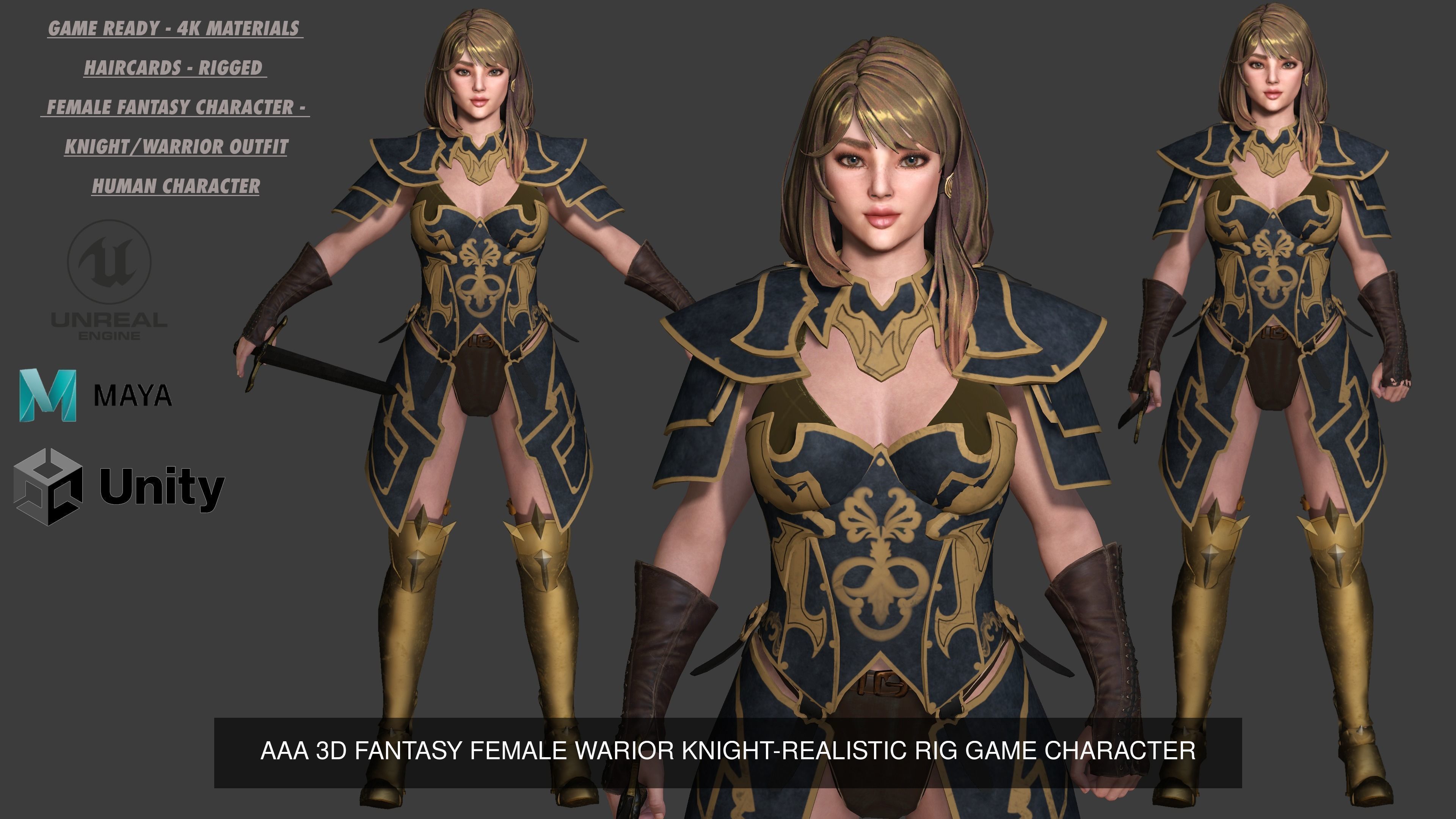 AAA 3D FANTASY MEDIEVAL FEMALE WARRIOR KNIGHT PACK 01 - 4 MODEL 3D Model Collection_3