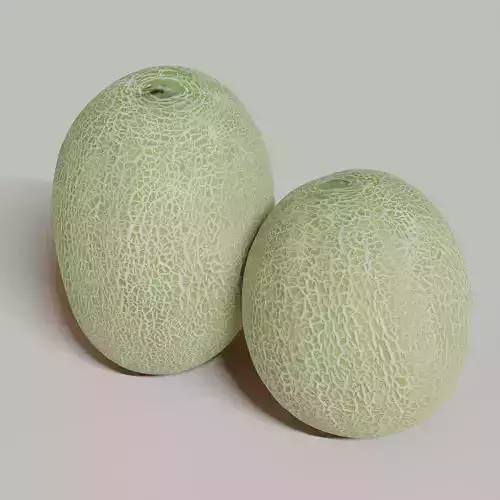 Cantaloupe melon  Low-poly 3D model