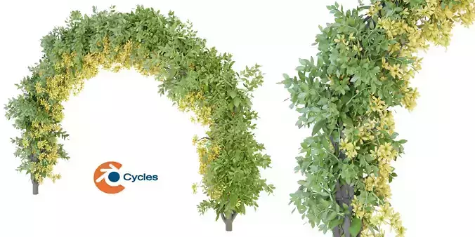 Collection plant vol 171 - blender model 3D model