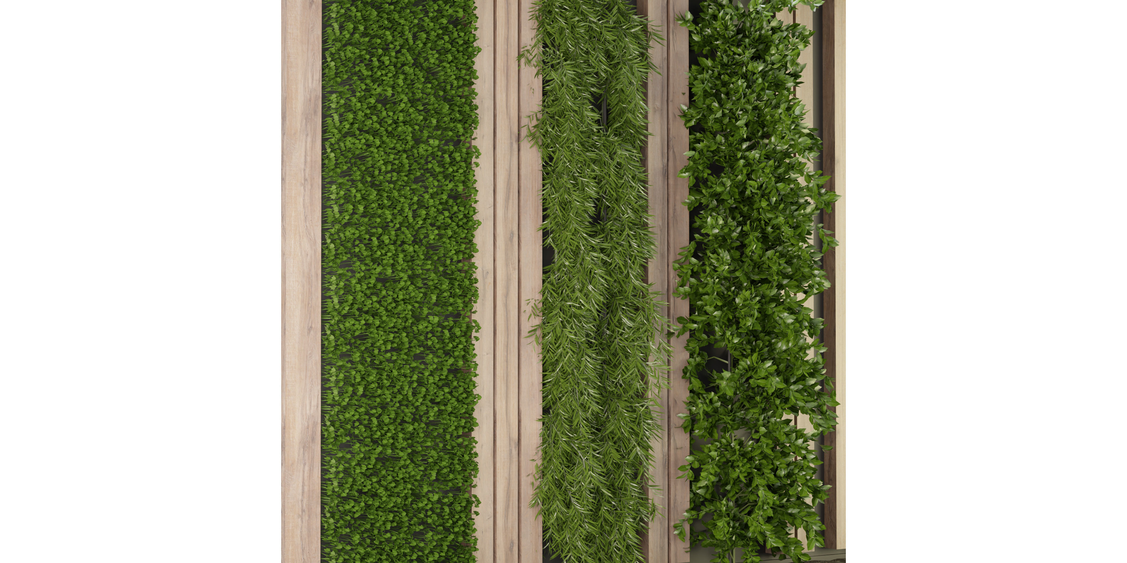 Collection plant vol 172 - blender model  3D model_4