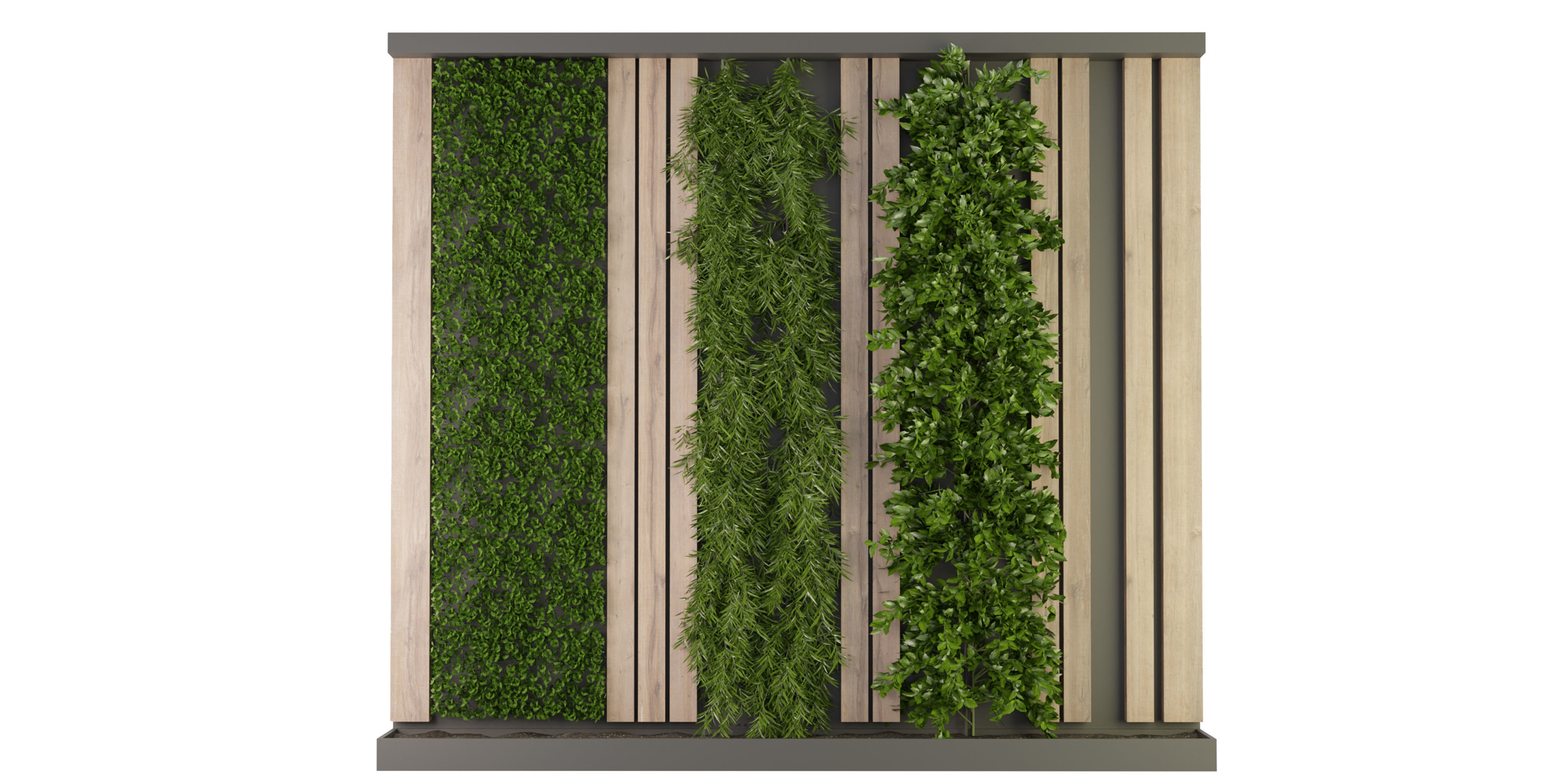 Collection plant vol 172 - blender model  3D model_1