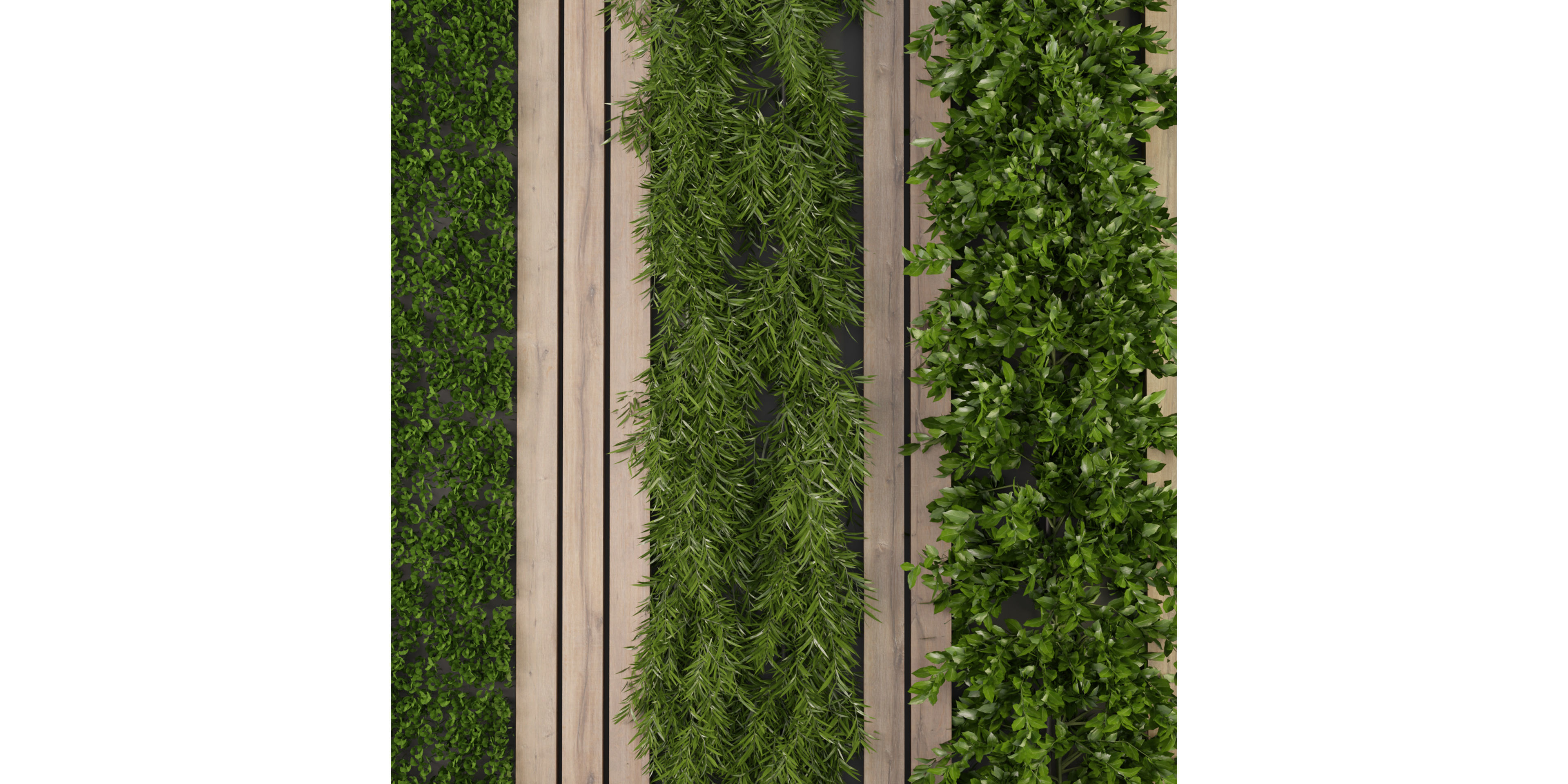 Collection plant vol 172 - blender model  3D model_2