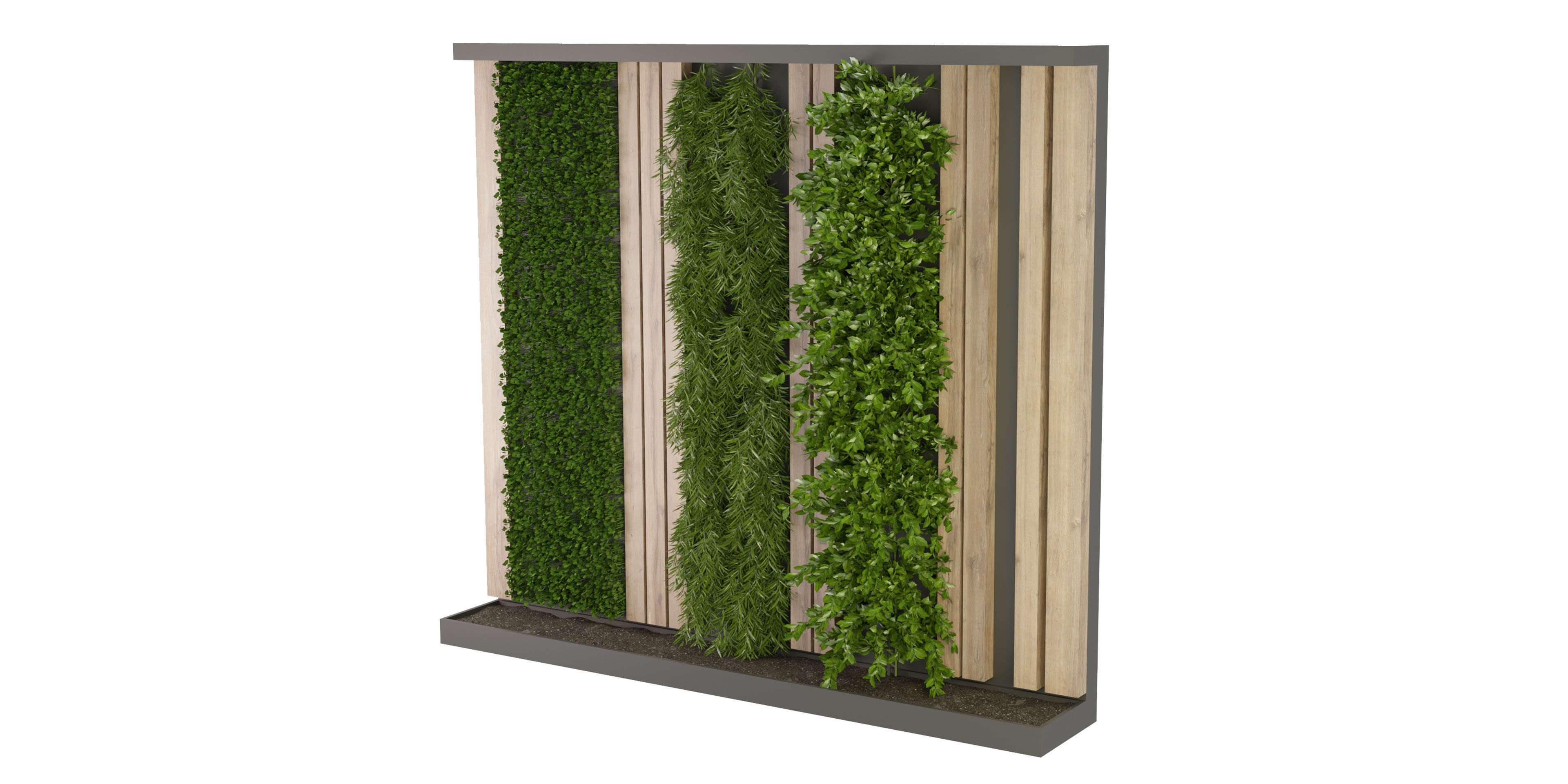 Collection plant vol 172 - blender model  3D model_3