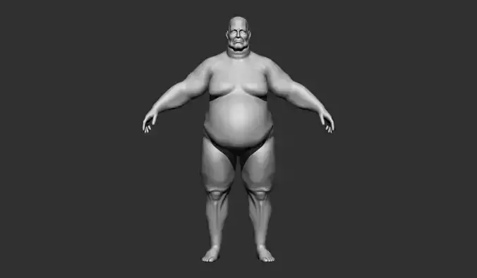 Fat body base mesh