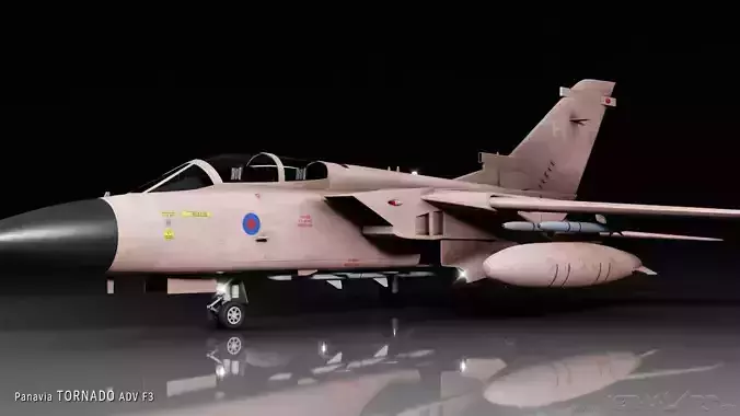 Panavia Tornado ADV F3 3D model