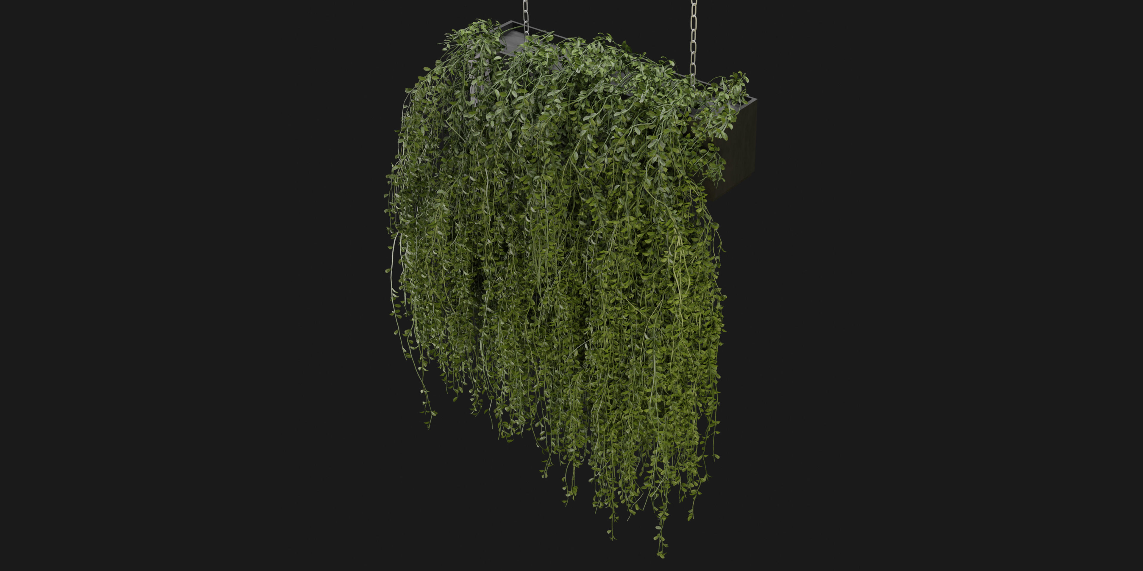 Collection plant vol 202 - blender model  3D model_4