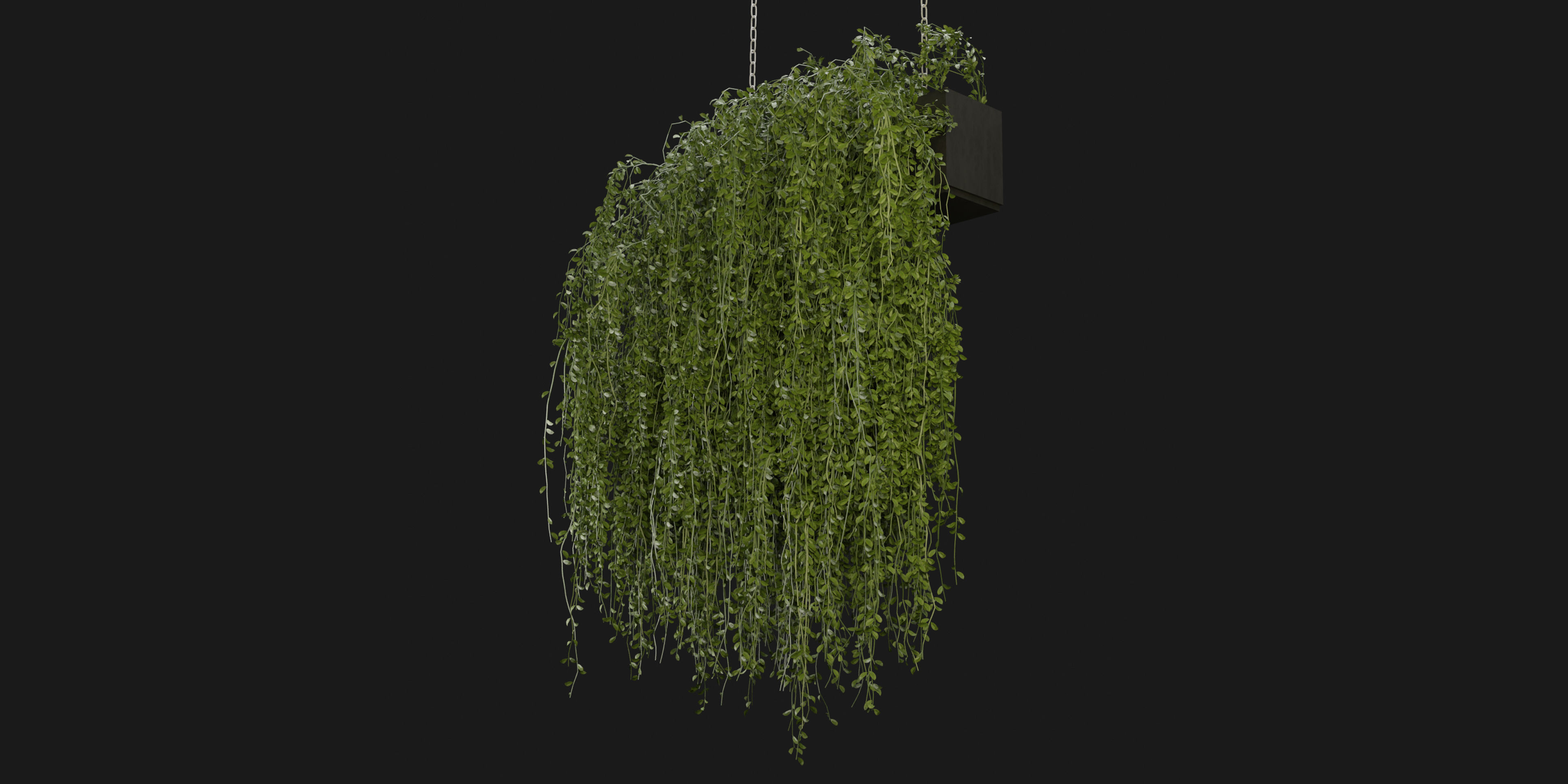 Collection plant vol 202 - blender model  3D model_3