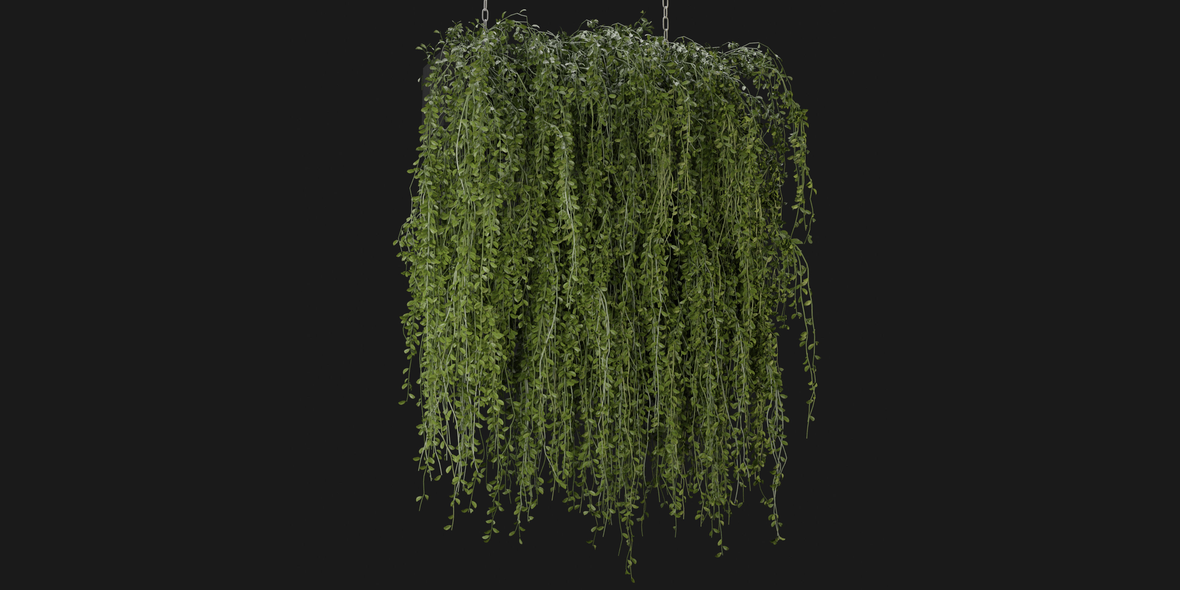 Collection plant vol 202 - blender model  3D model_5