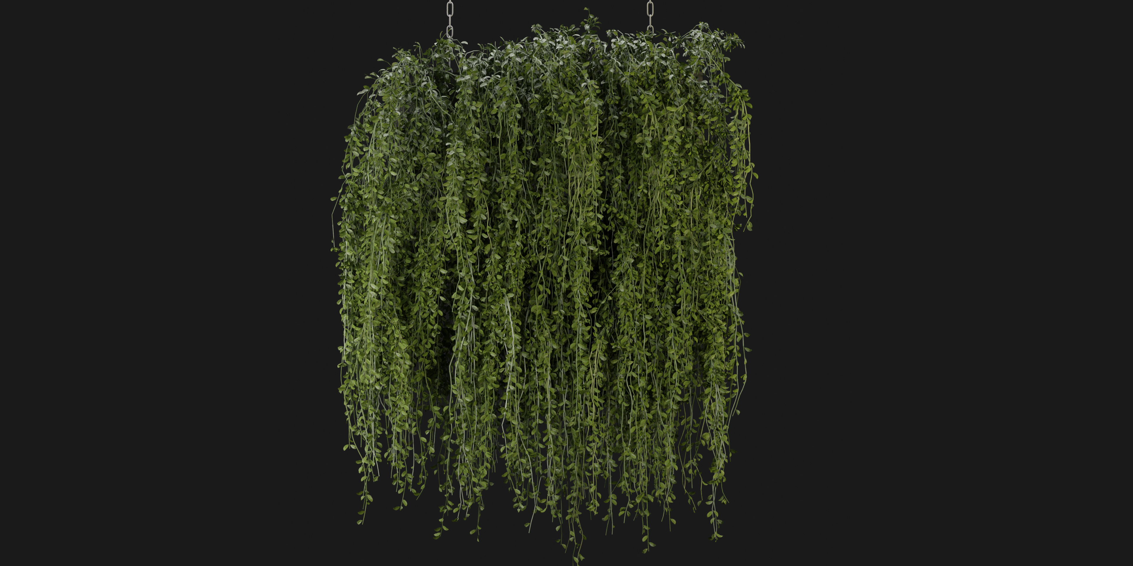 Collection plant vol 202 - blender model  3D model_1