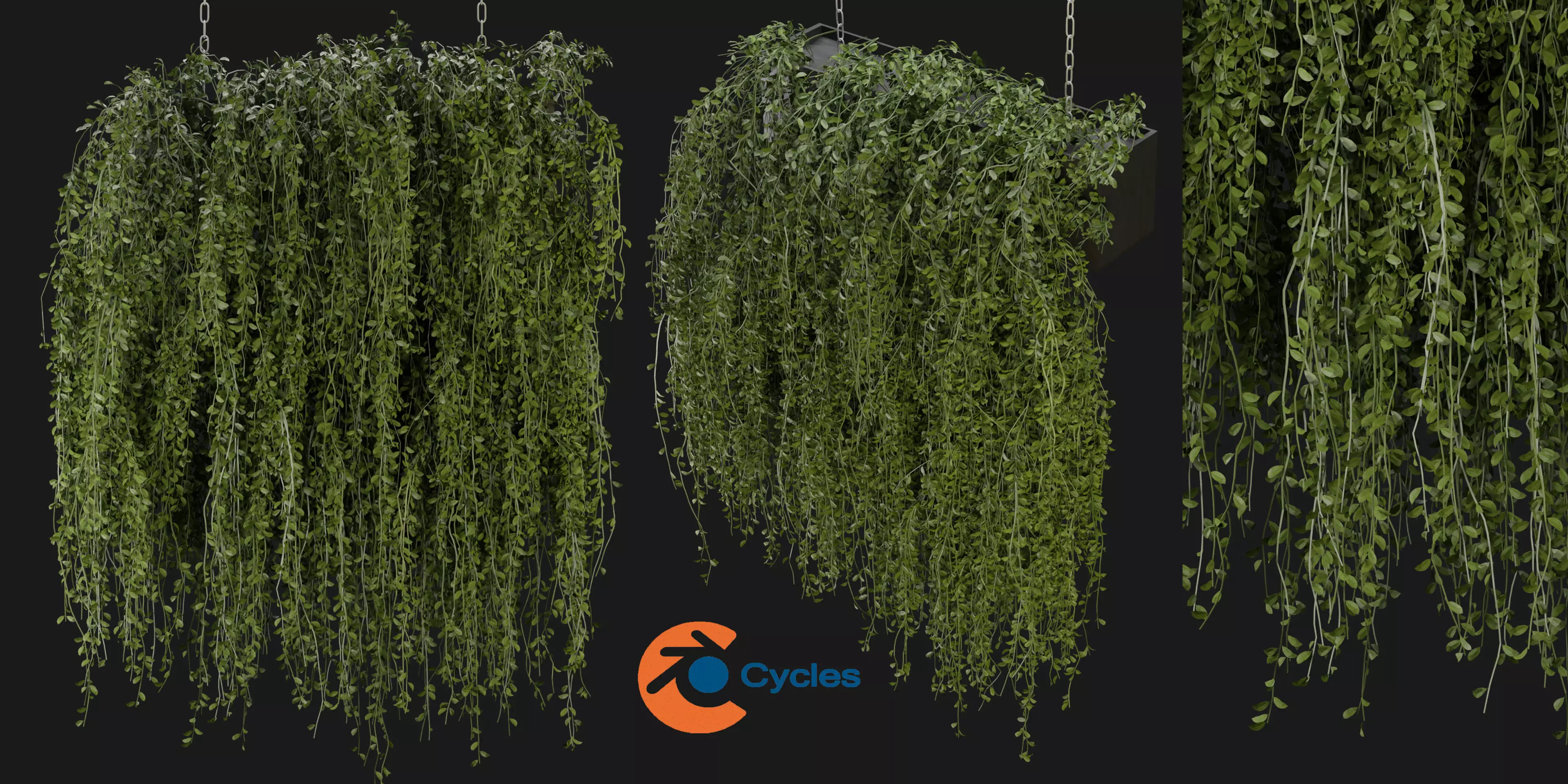 Collection plant vol 202 - blender model  3D model_0