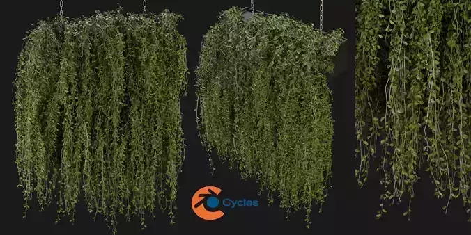 Collection plant vol 202 - blender model 