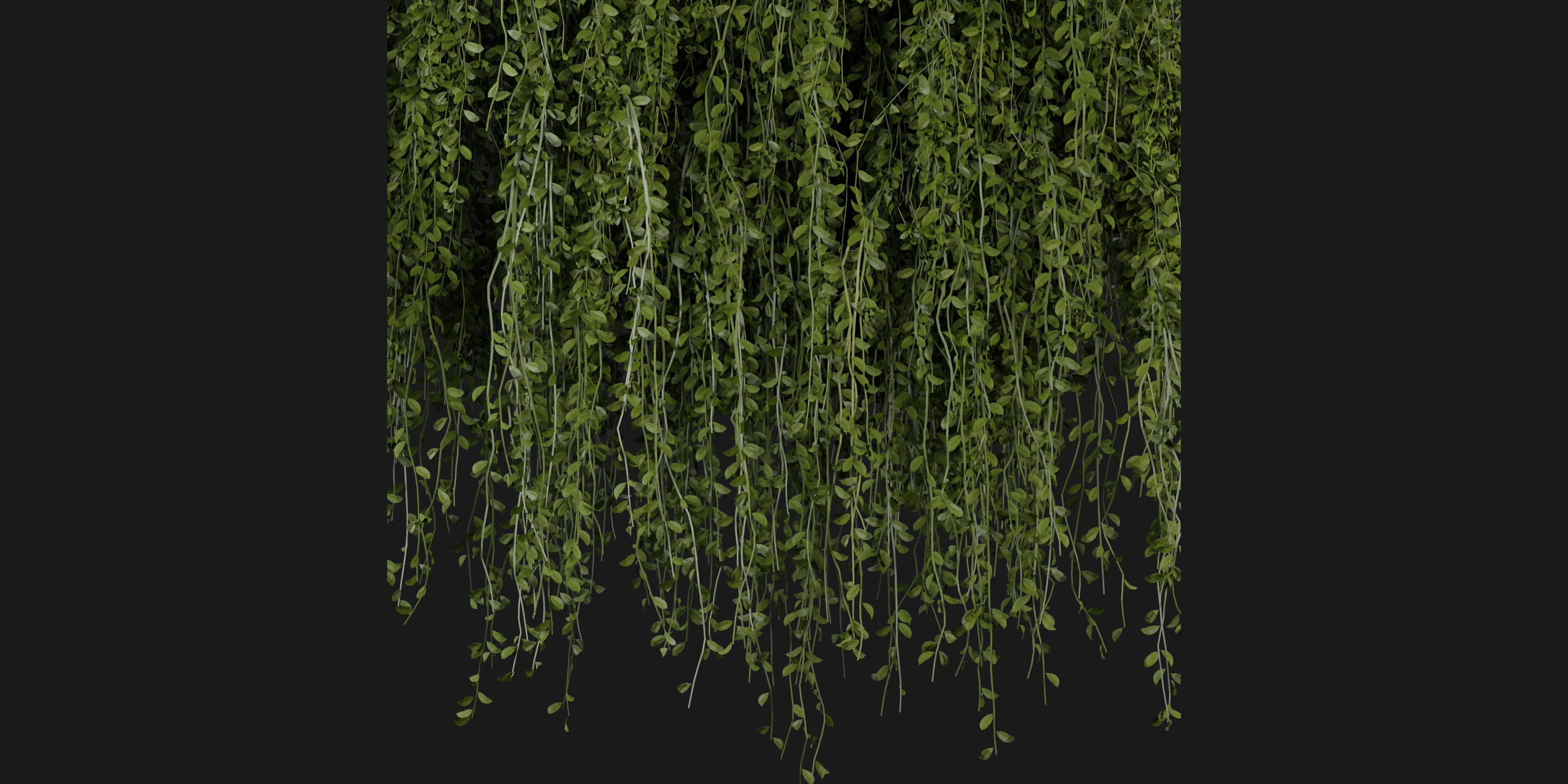 Collection plant vol 202 - blender model  3D model_2