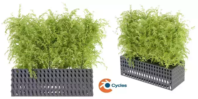 Collection plant vol 206 - blender model 