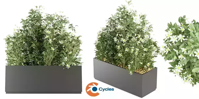 Collection plant vol 207 - blender model 