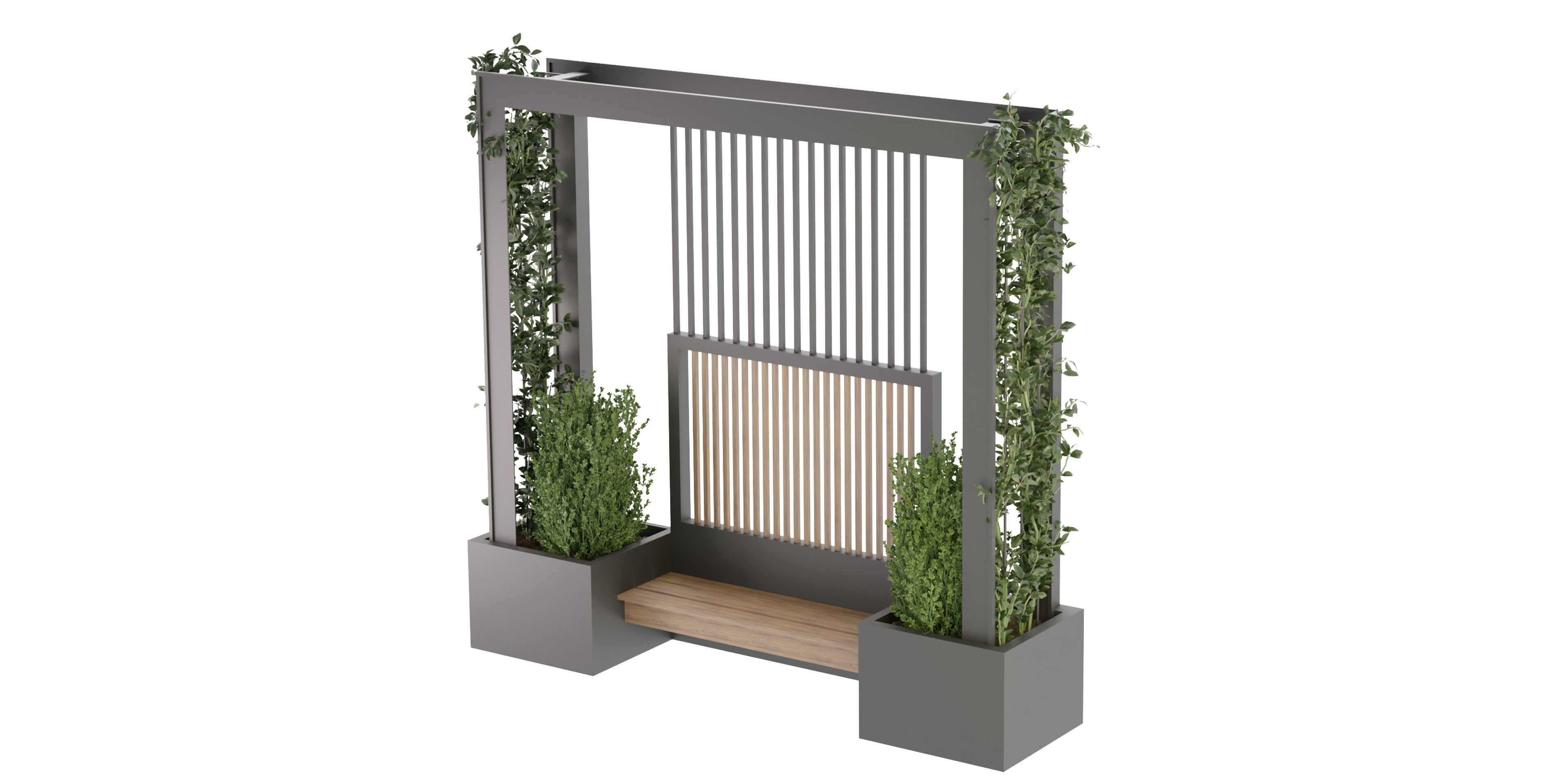 Collection plant vol 211 - blender model  3D model_3