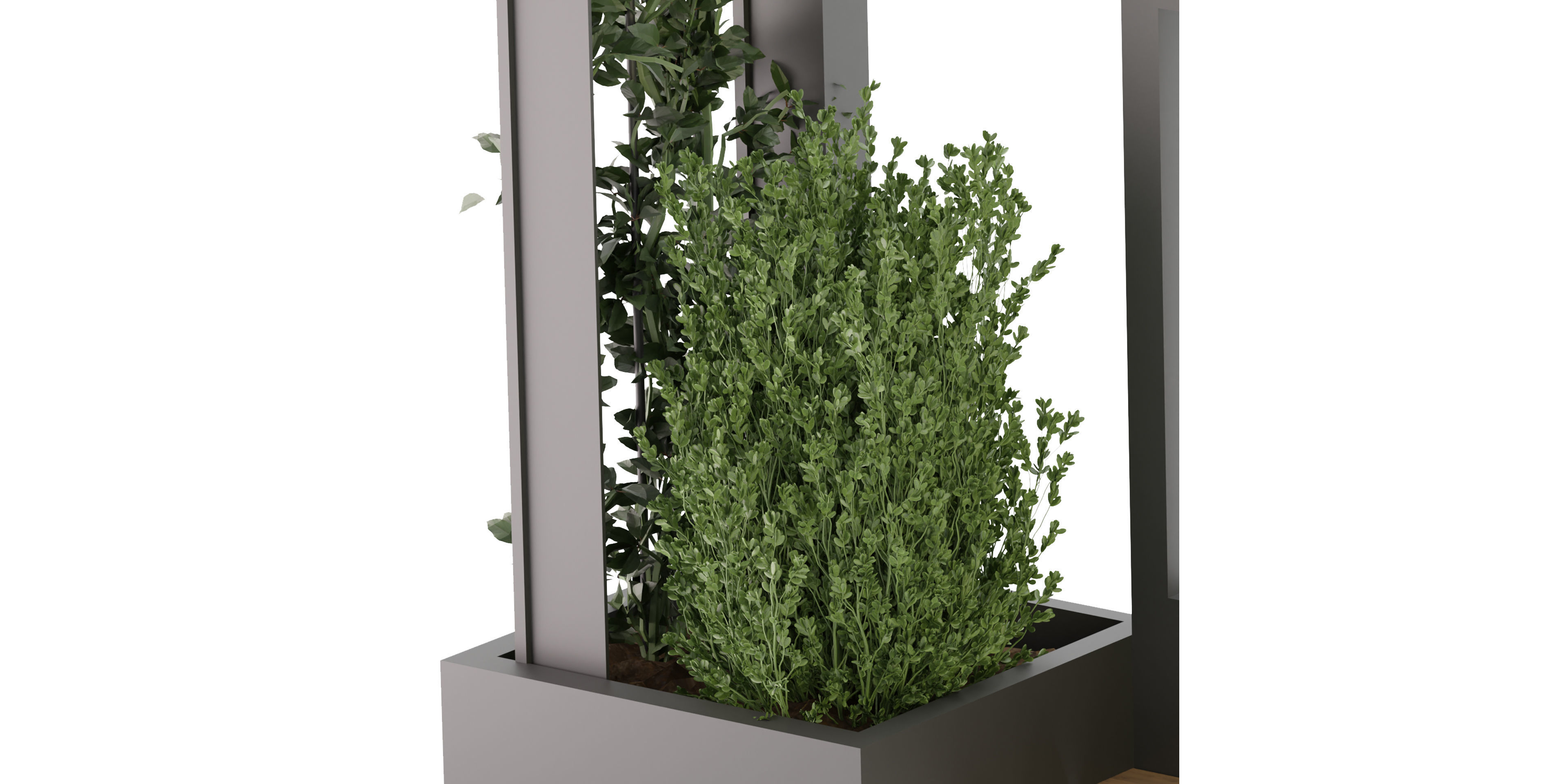 Collection plant vol 211 - blender model  3D model_2