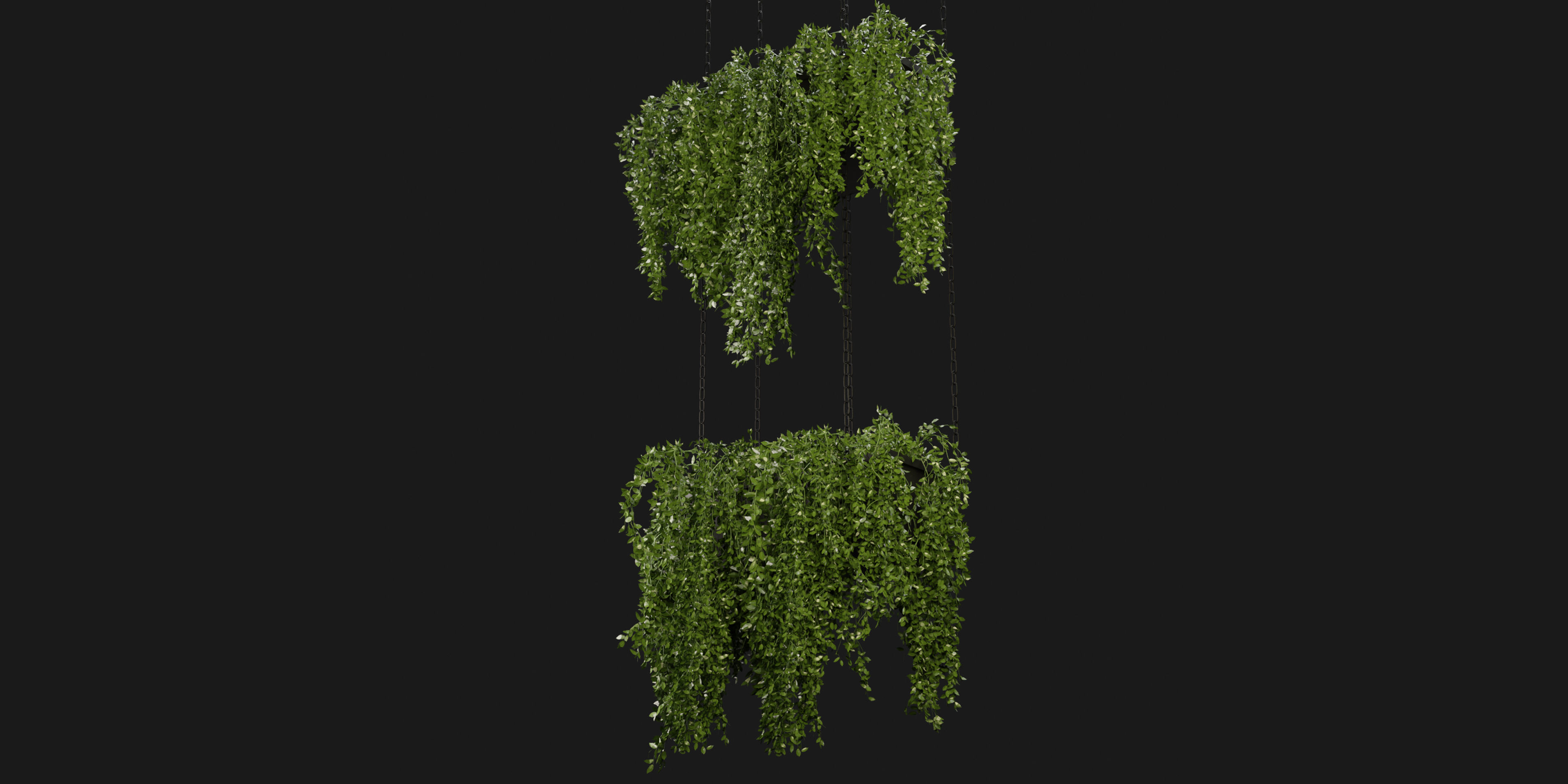 Collection plant vol 213 - blender model 3D model_4