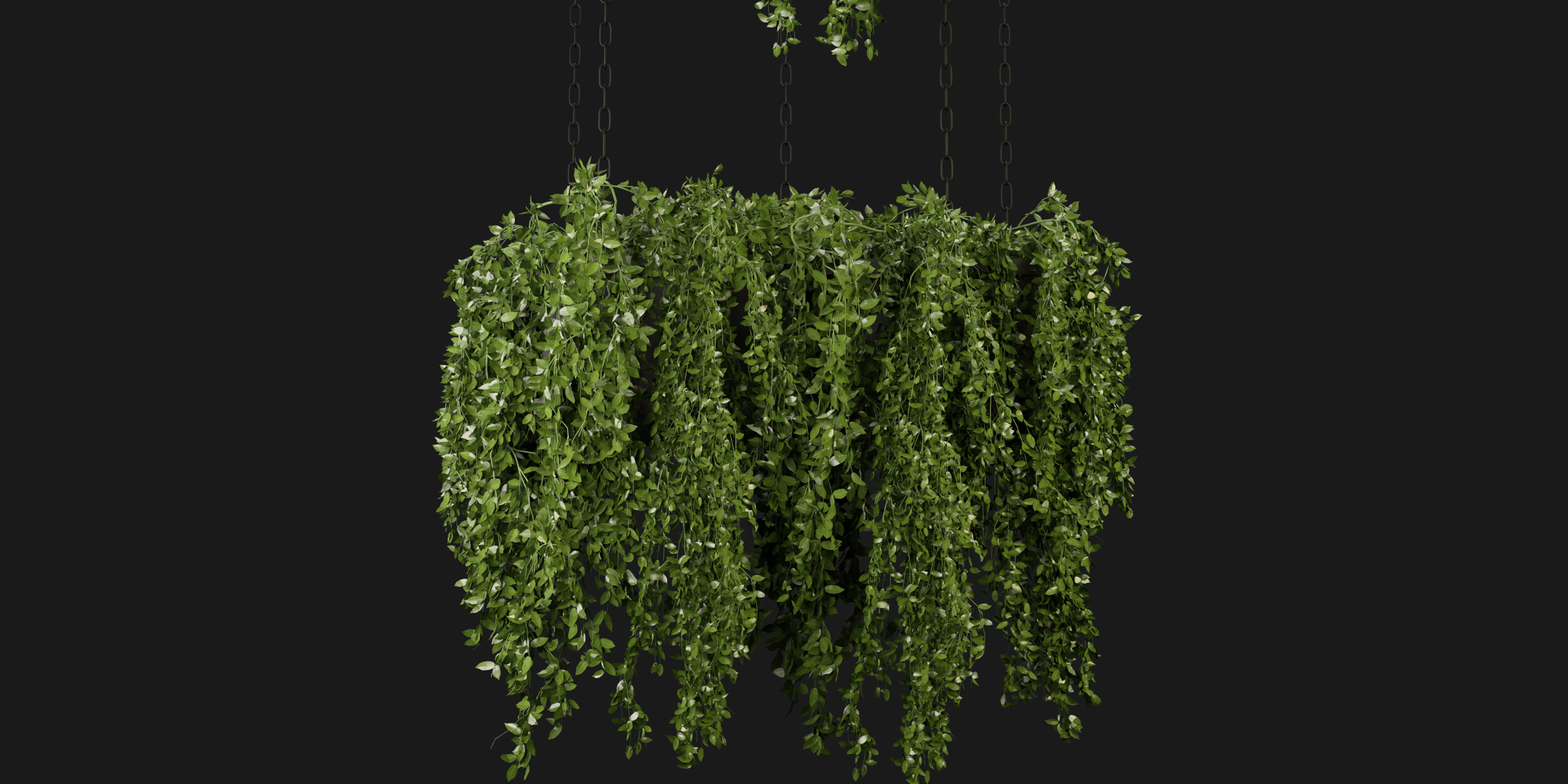 Collection plant vol 213 - blender model 3D model_2