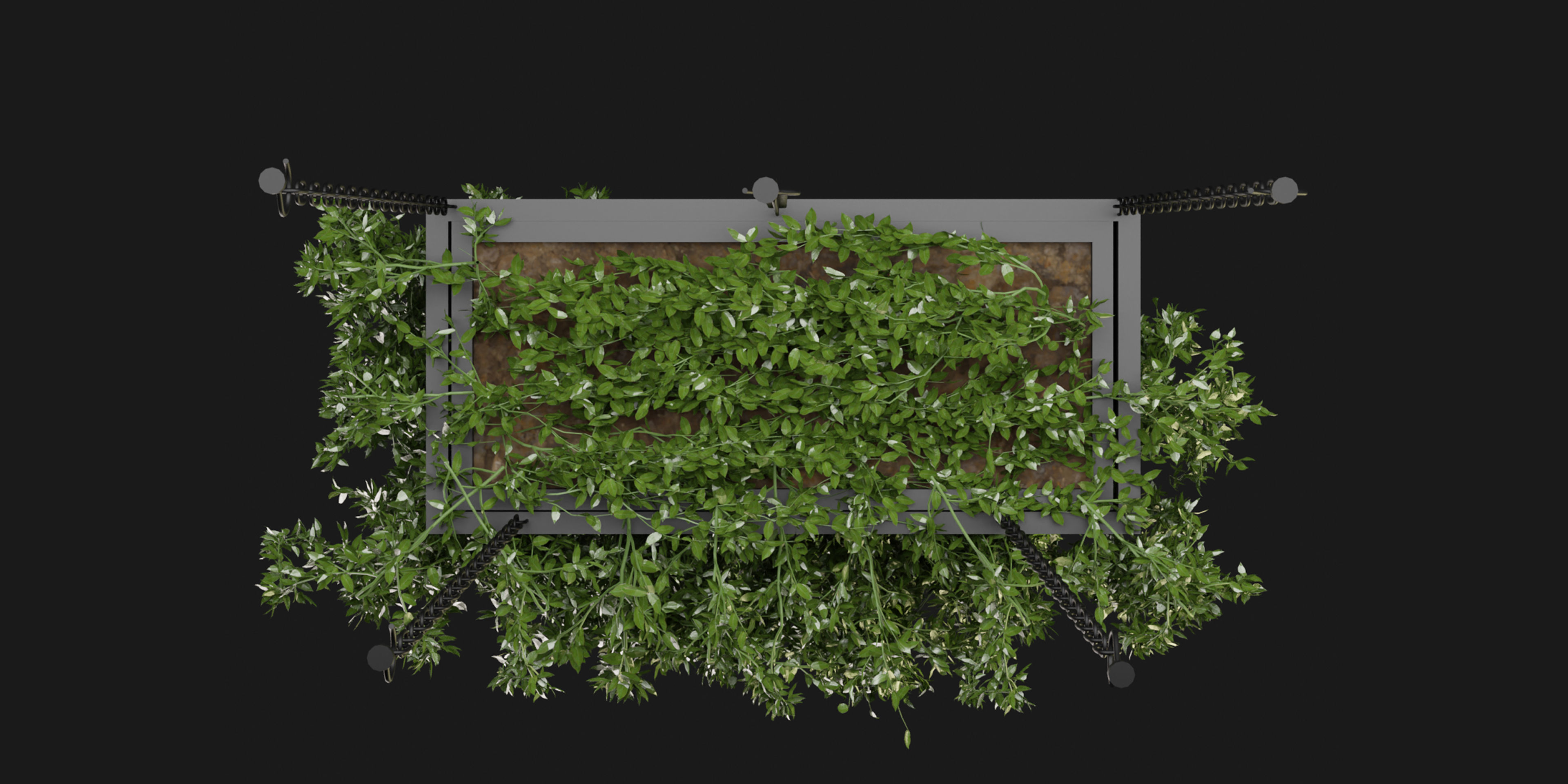 Collection plant vol 213 - blender model 3D model_5