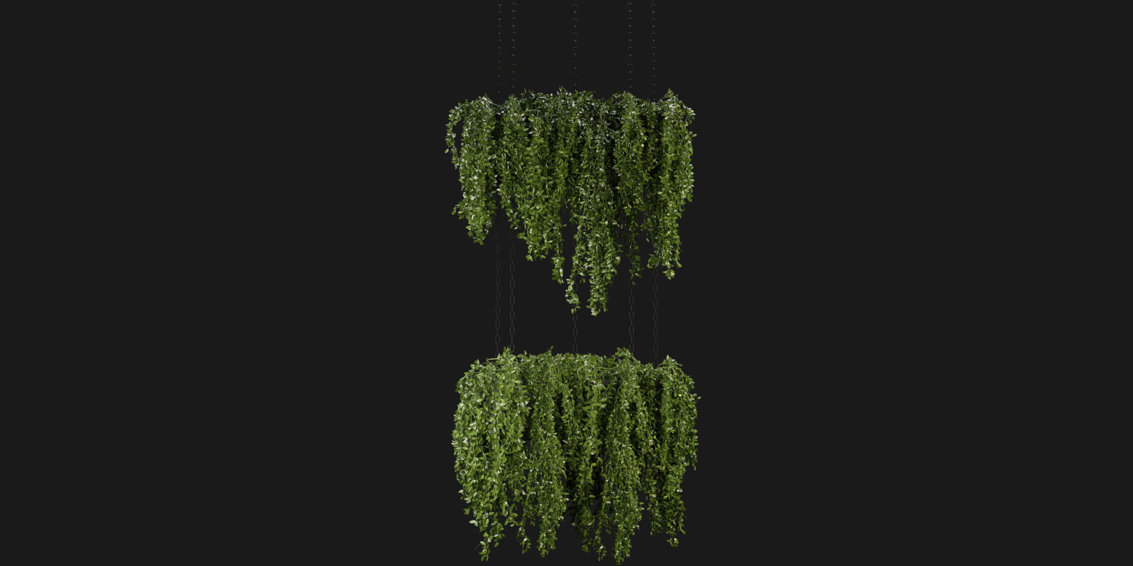 Collection plant vol 213 - blender model 3D model_1
