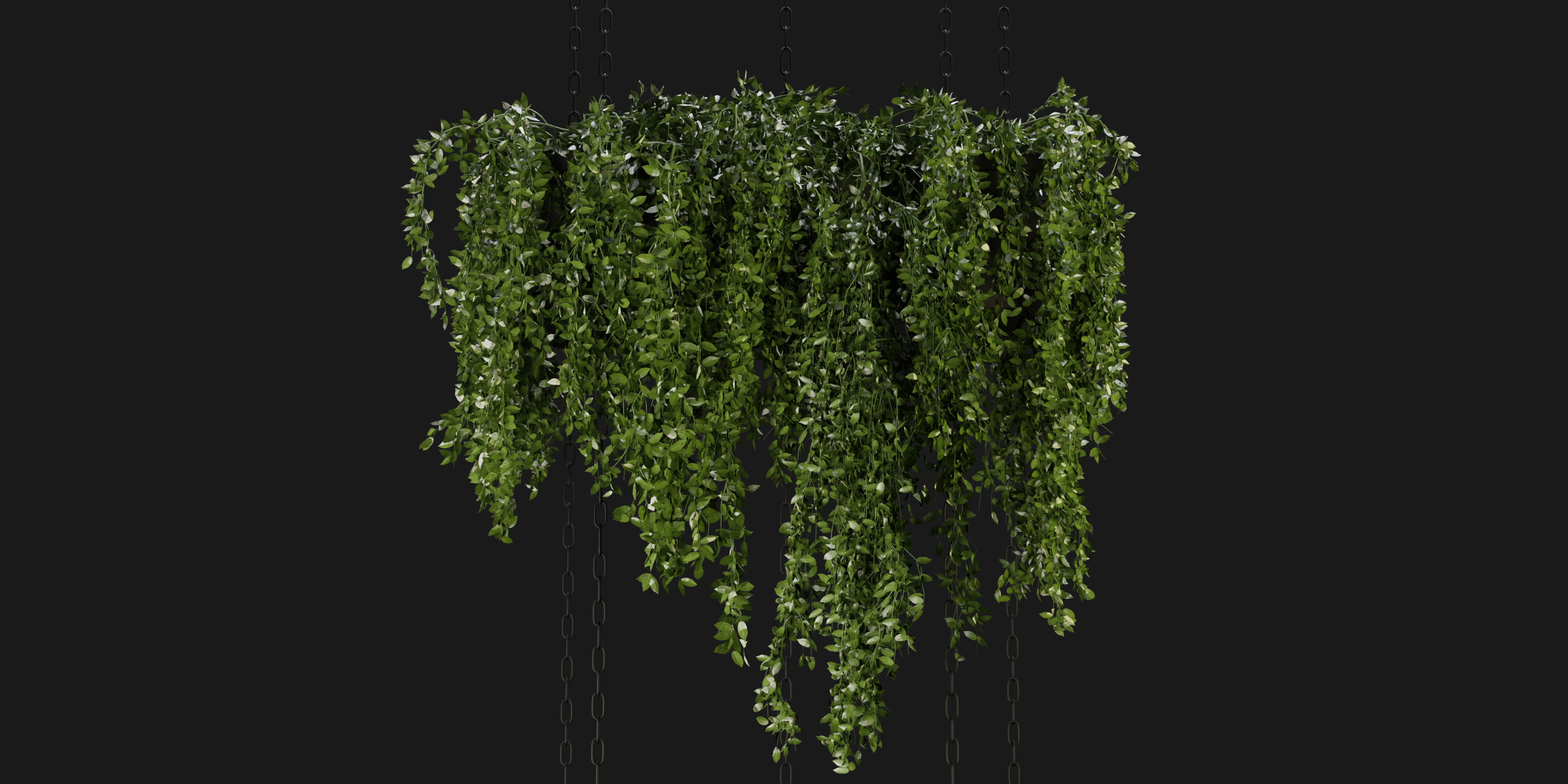 Collection plant vol 213 - blender model 3D model_3