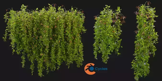 Collection plant vol 221 - blender model 