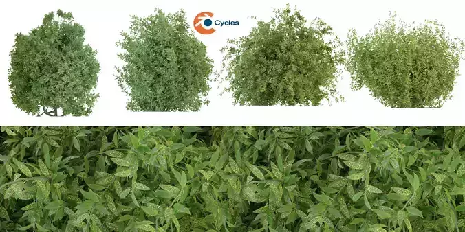 Collection plant vol 226 - blender model 